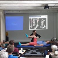 Applied Kinesiology Potsdam Gal 06