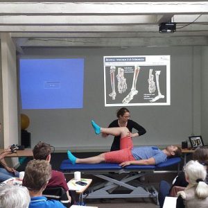 Applied Kinesiology Potsdam Gal 06